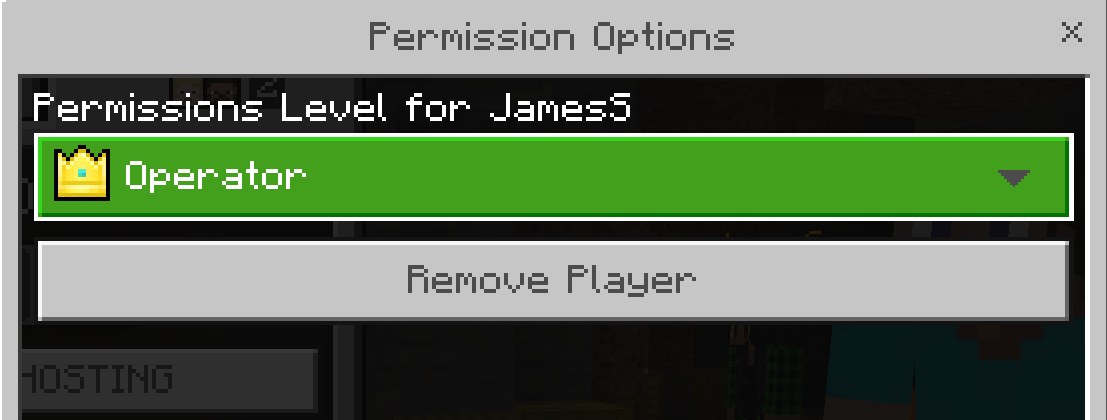 The Permission Options dialog in Minecraft Education, showing a permissions level dropdown set to Operator and a Remove Player button underneath